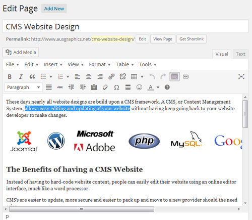 CMS website design editor Sunshine Coast